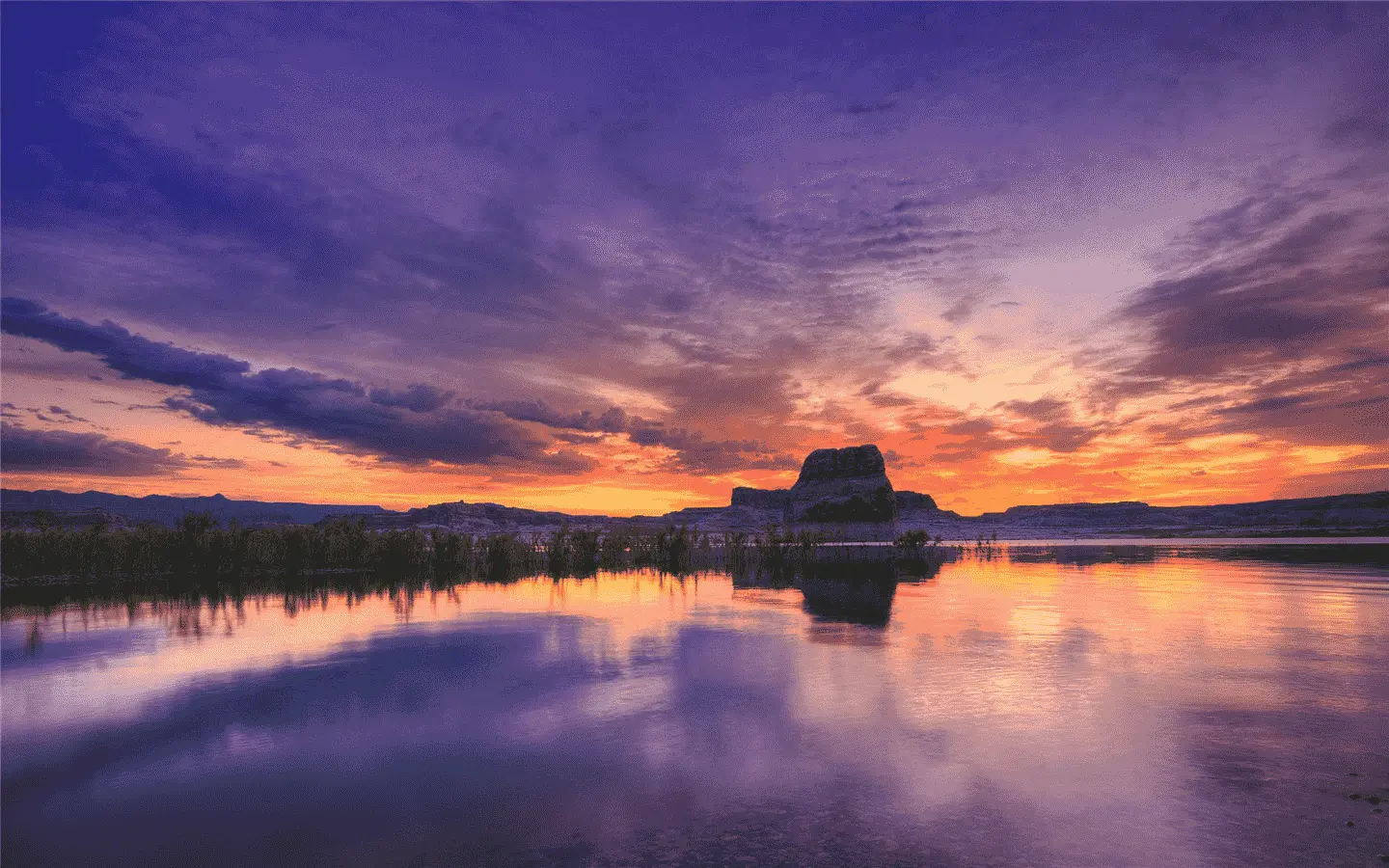 单行循环打字机特效