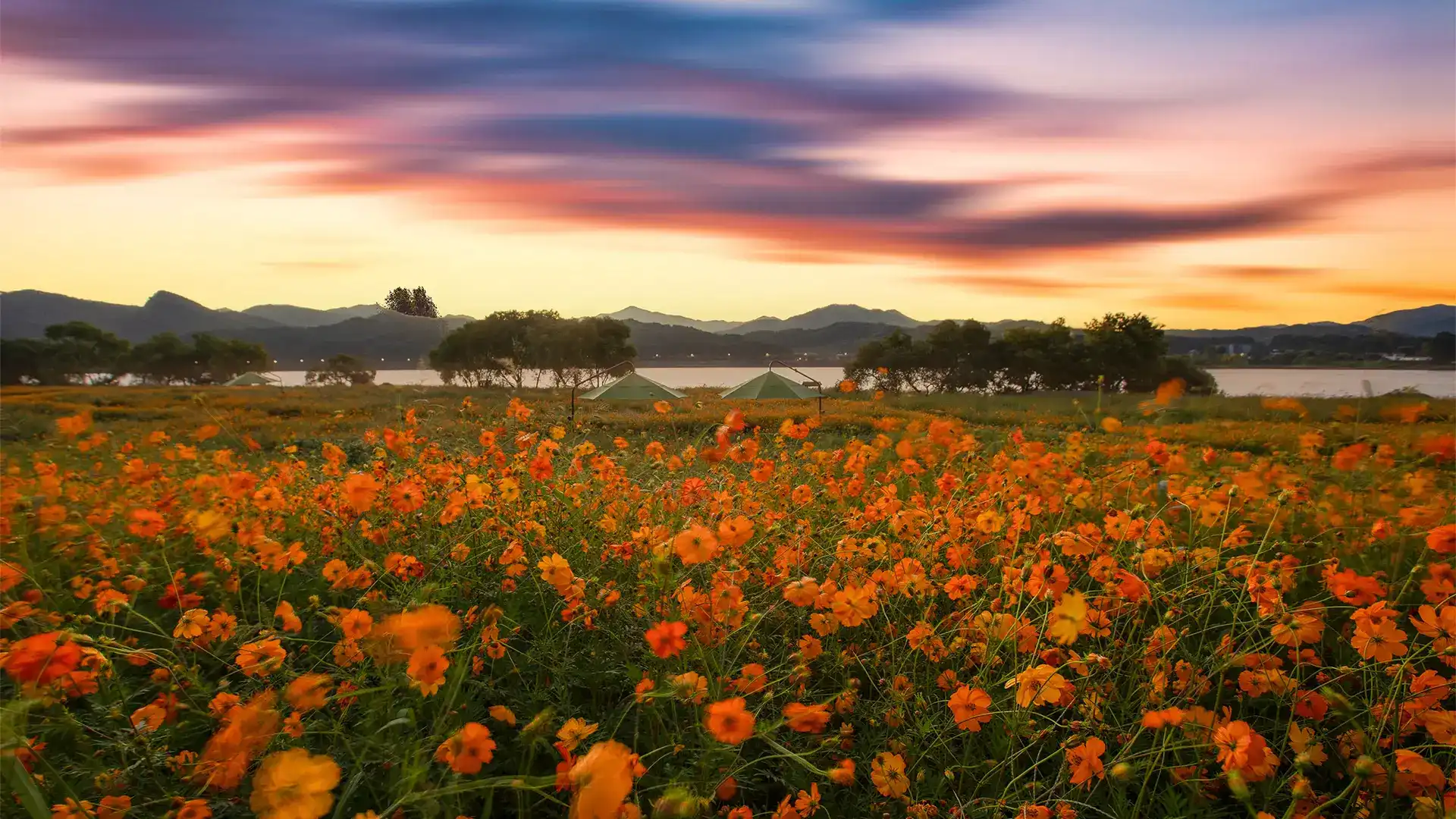 使用 Serv00 免费虚拟主机部署 Astro 博客